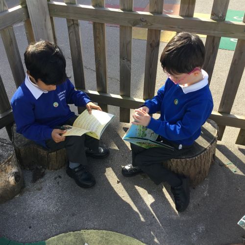 Reading for Pleasure